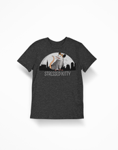 Load image into Gallery viewer, Stressed Kitty Opossum Meme Unisex Classic T-Shirt