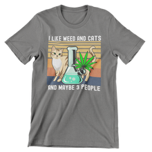 Load image into Gallery viewer, I Like Weed and Cats and Maybe 3 People Unisex Classic T-Shirt