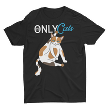 Load image into Gallery viewer, Only Cat Funny Cat Meme Adult Fans Joke Shirts