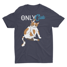 Load image into Gallery viewer, Only Cat Funny Cat Meme Adult Fans Joke Shirts