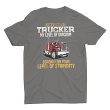 Load image into Gallery viewer, Funny Sarcastic Grumpy Truck Driver Shirts