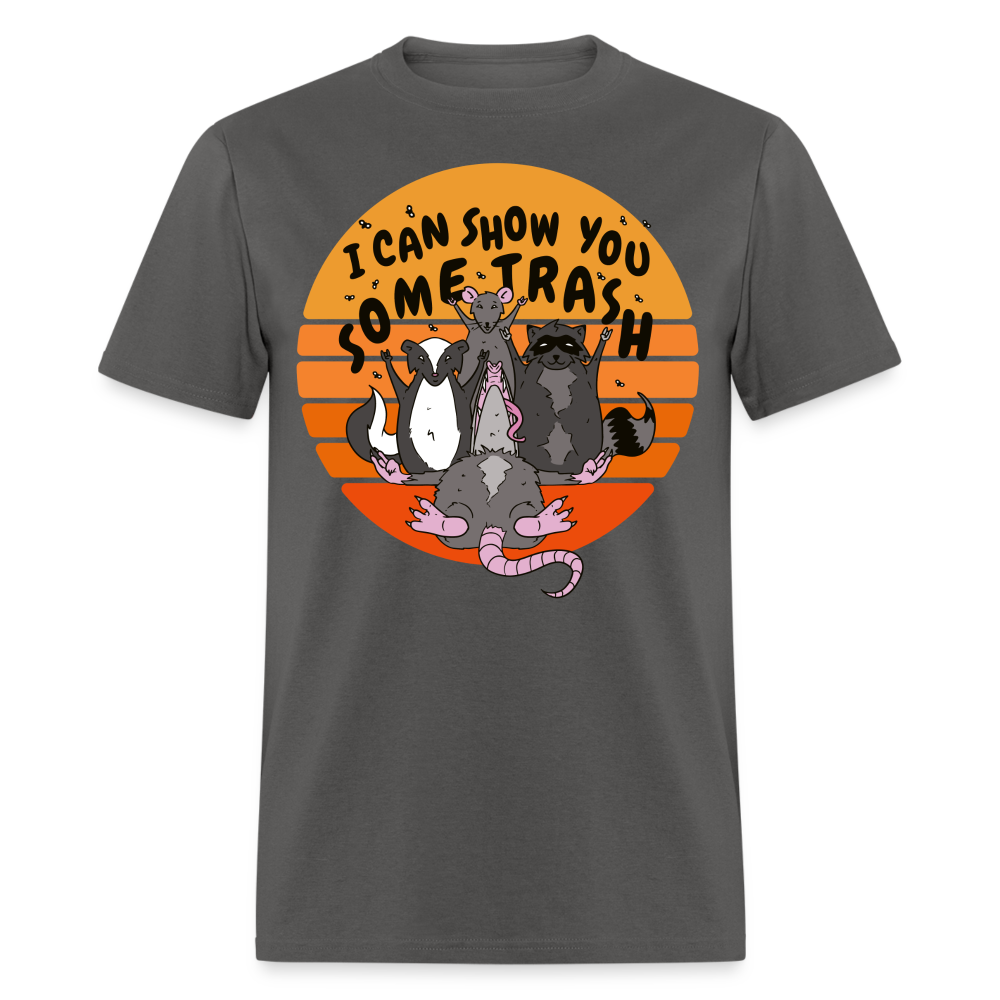 I Can Show You Some Trash Street Cats  Unisex Classic T-Shirt - charcoal