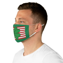 Load image into Gallery viewer, Shamrock American Flag Fabric Face Mask
