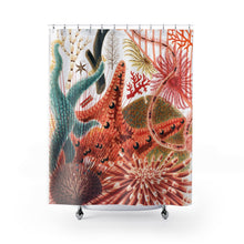 Load image into Gallery viewer, The Great Barrier Reef Ocean Themed Shower Curtain - E.G. Supplies, LLC 
