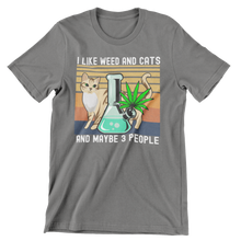 Load image into Gallery viewer, I Like Weed and Cats and Maybe 3 People  Unisex Classic T-Shirt
